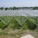 YQ-Plastics Premium Anti Hail Net Manufacturer