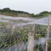 YQ-Plastics Premium Anti Bird Net Manufacturer