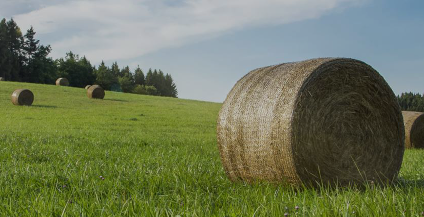 Premium Bale Net Wrap for Enhanced Agricultural Efficiency | YQ-Plastics